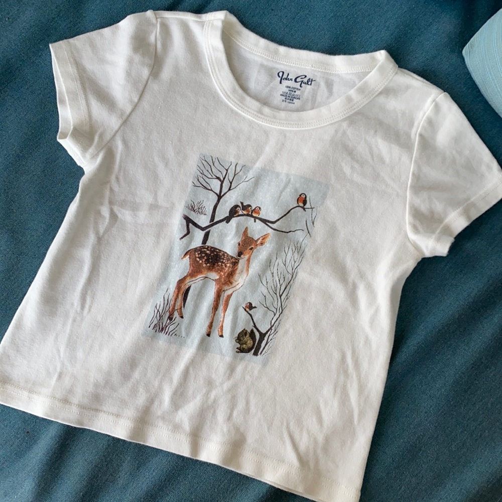 brandy melville/john galt cropped tshirt winter print